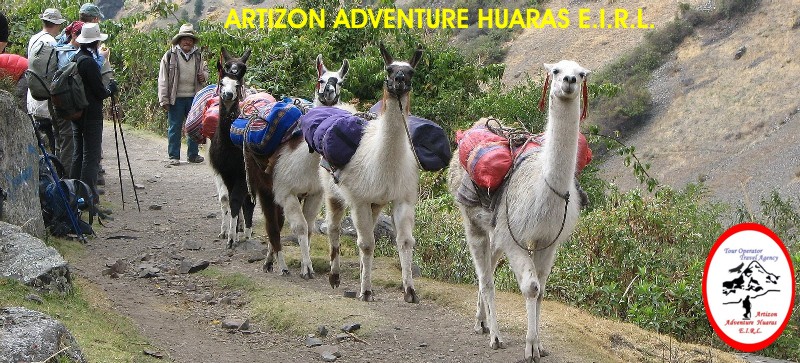 Laguna 69 - Caminata Cordillera Blanca